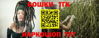 индика Обь