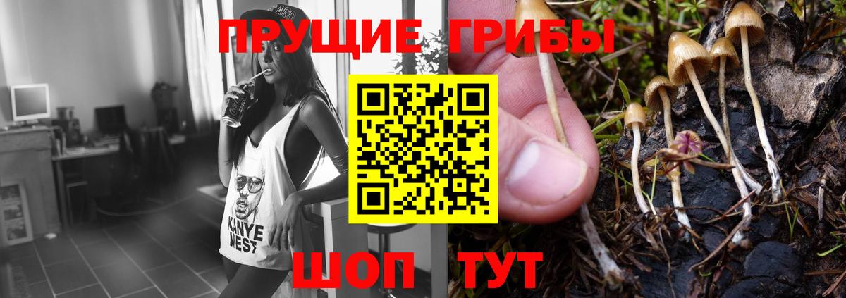 Галлюциногенные грибы прущие грибы Симферополь